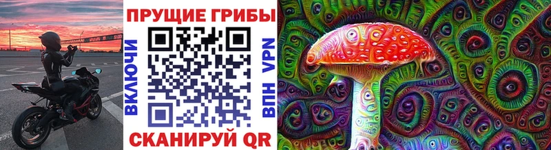 мега tor  купить наркотики сайты  Воркута  Галлюциногенные грибы Cubensis 